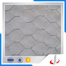 Galvanized Poultry Net 20 gauge chicken wire