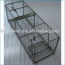 animal cage trap