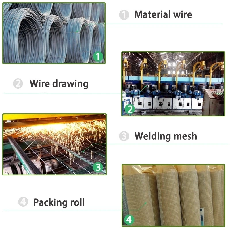 Galvanized PVC Coated Welded Wire Mesh