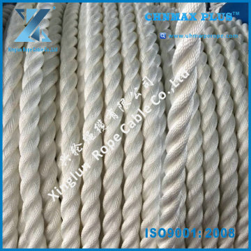 Poly Danline/Polysteel 3 Strand Twisted Rope