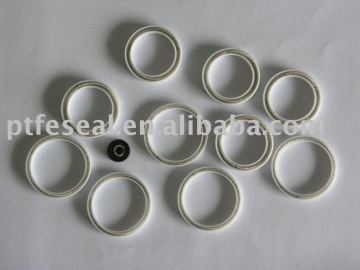 Canted coil spring energized PTFE seal