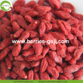 New Harvest Super Food Baies de Goji crues séchées