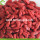 Neue Ernte Super Food getrocknete rohe Goji Beeren