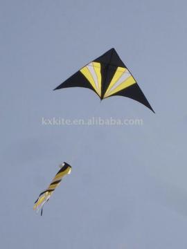 Delta kite with a windstock