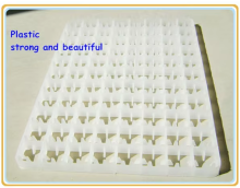 Factory Supplied Good Quality Incubator Spare Parts: 88 Chicken Egg Trays, 63 Capacity Duck Egg Trays, and 221 Quail Egg Trays