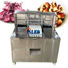 Automated Fruits Pitting Machine for Green Plums, Dates, and Dried Apricots