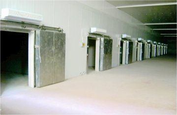 Chilling Room, Chilled Meat