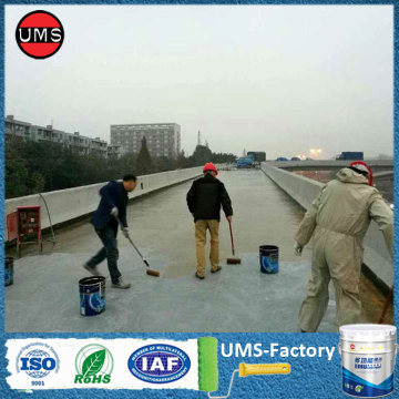 Polyurea waterproof elastomeric coating paint on concrete