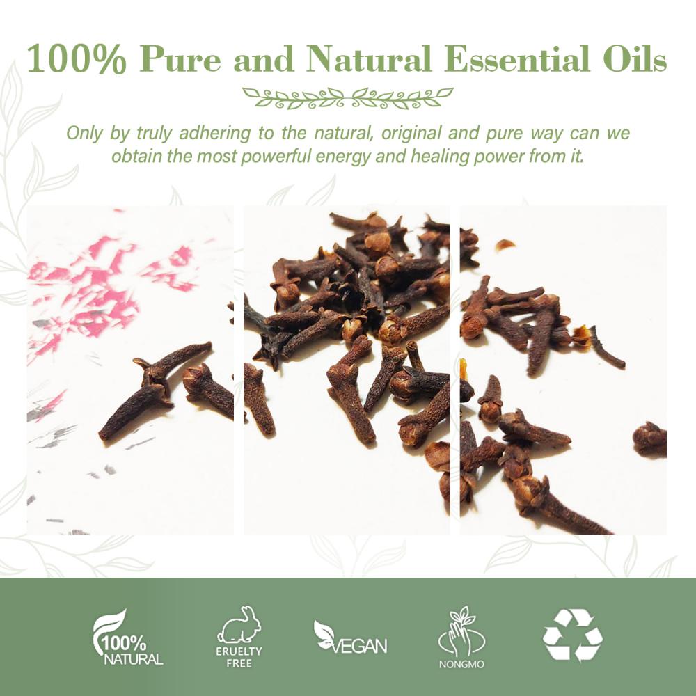 Wholesale Pure Nature Extract Eugenol Oil For Aromatherapy