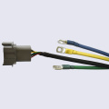 Electrical Machinery Wire Harness