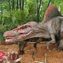 Gigantic Life Size Spinosaurus Display Figure