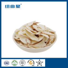 Bulk freeze dried squid slice