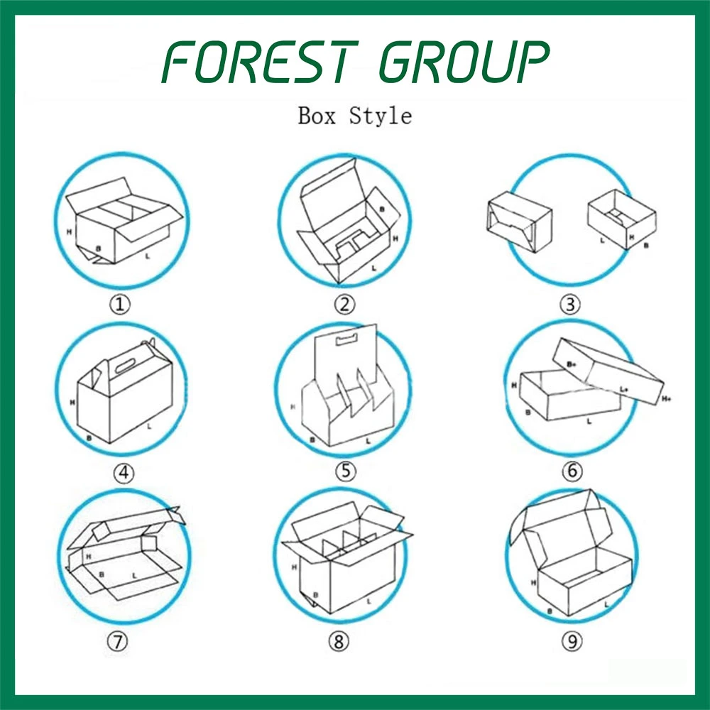 Beer Bottle Corrugated Packaging Box (FP3022)