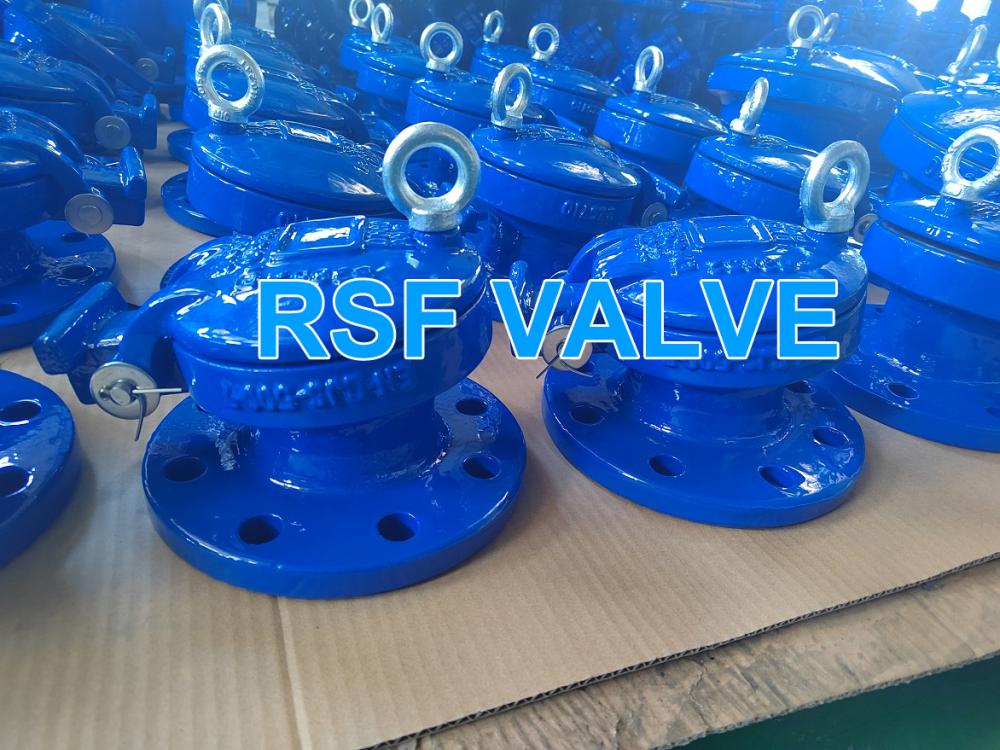 Flap Valve 2 Jpg