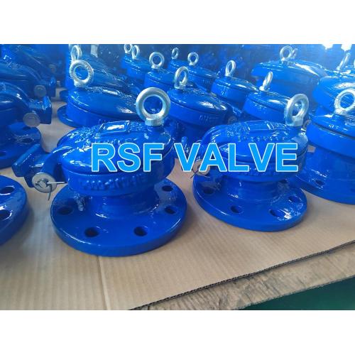 High Quality Ductile Iron Flap Valve