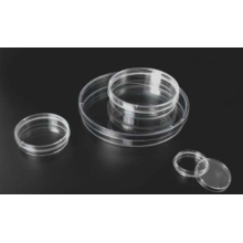 60 x 15 mm Disposable Petri Dish