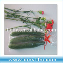 Packing perforated bags for cucumber