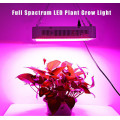 LED cresce a luz para flores de plantas medicinais Indoor