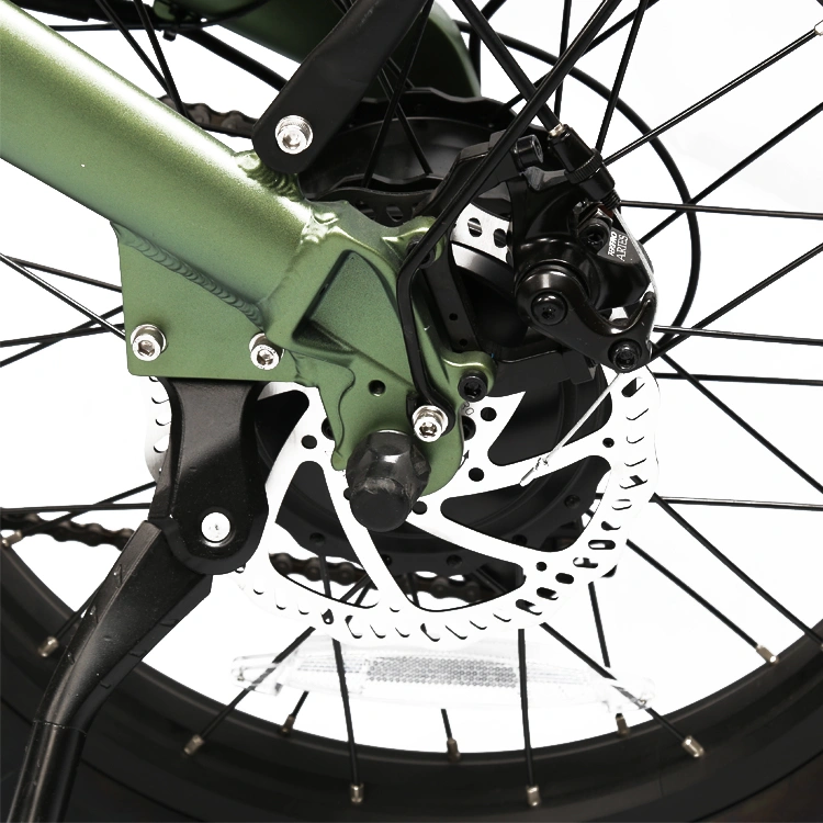 Popular Foldable Fat Tire Aluminum Alloy Frame Electric Bike