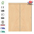 Fiberglass Bathroom Interior Flush Door