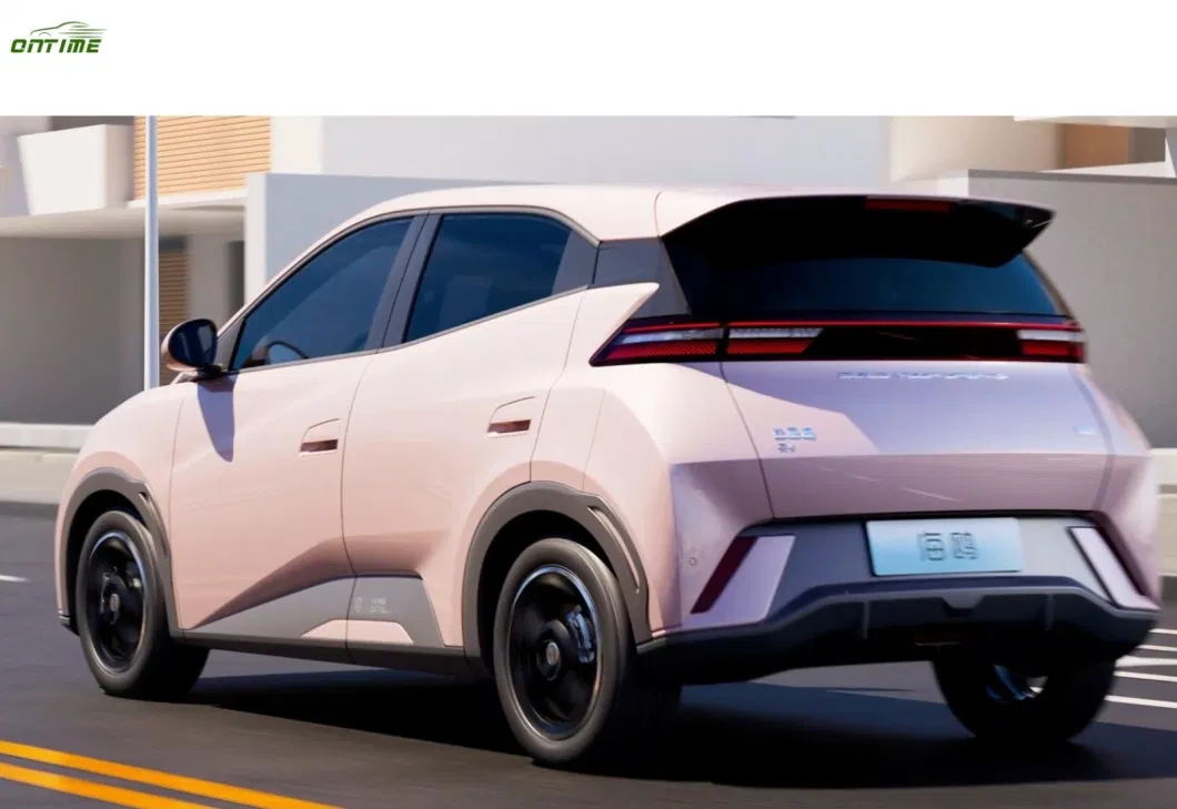 China Ontimeseagull New Energy Electric Vehicle Small Household Vehicle