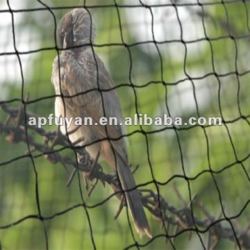 Aviary Netting Aviary Fencing