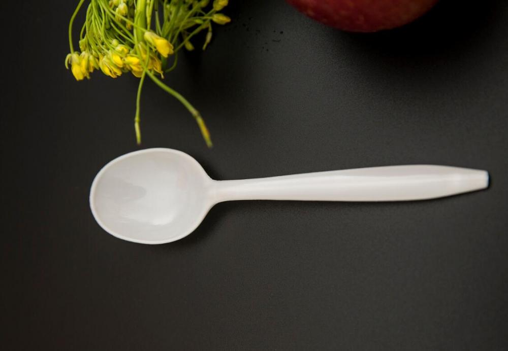 Disposable Plastic PP Spoon