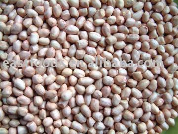 40/50 Peanut kernels(round type)