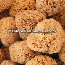 decorative natural sea sponge TM-HM