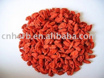 goji berry / wolfberry / Ningxia goji