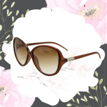 High Quality Latest Fashionable Sun Eyeglass