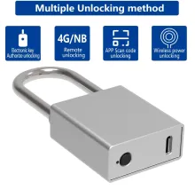 Electronic Intelligent Padlock for Box Transformer