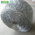 Sampel gratis Hot Dipped Galvanized Barbed Wire