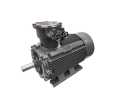3 Phase Explosion Asynchronous Induction Motor