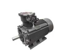 Three Phase Flame Proof AC motor