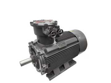 Flame Proof AC Motor