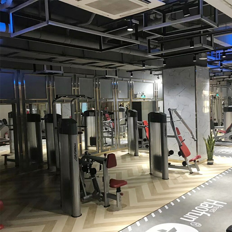 multii gym lifefitness