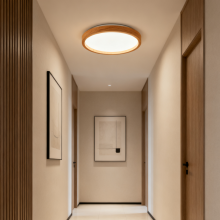 Energy Efficient LED Ceiling Lamp