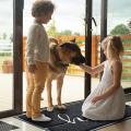 Durable Welcome Mat Low Profile