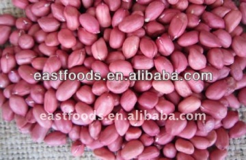 Chinese red skin peanut kernel
