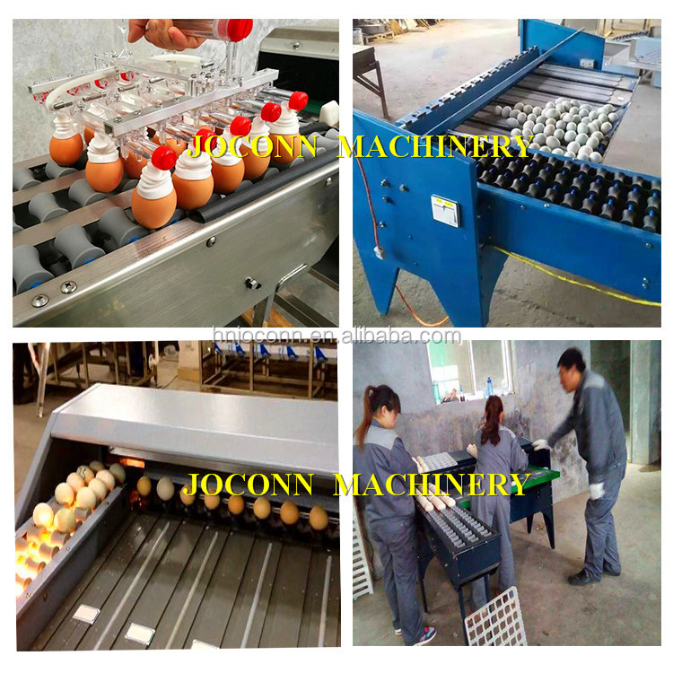 Small Scale Egg Grading coding machine /Egg Sorter printer / egg weight selector machine for egg grading