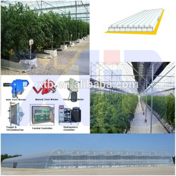 Multi Span Film Greenhouse For Agriculture