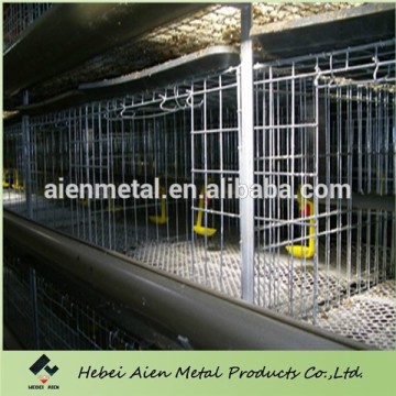 cage for growing broiler with water system