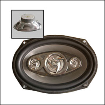 Csp-6915 Auto Speaker