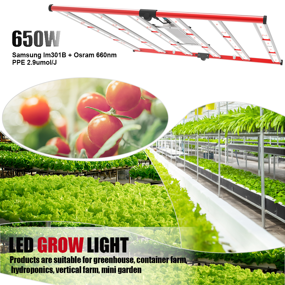 650W grandir la lumière 6 bar pour la floraison