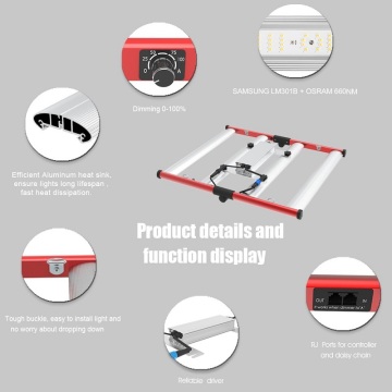 ETL, CE, RoHS, certificazione UL Pieno Spectrum LED Grow Light