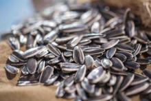 RONG DA SUNFLOWER SEED 363
