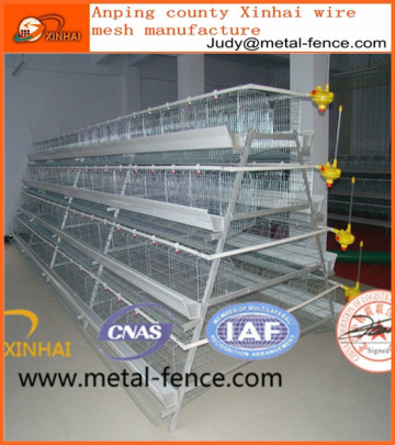 Automatic farm chicken poultry equipment/poultry farm equipment