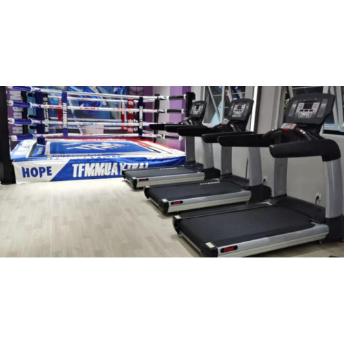 Gym Fitness Peralatan Kardio Treadmill Profesional