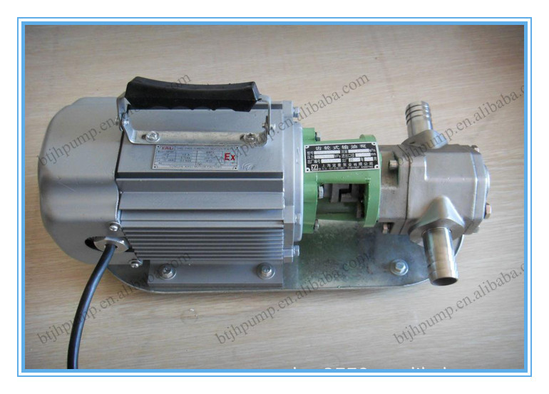 Single-phase 220V portable gear pump